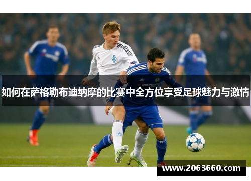 如何在萨格勒布迪纳摩的比赛中全方位享受足球魅力与激情